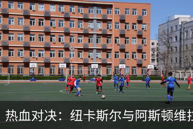 热血对决：纽卡斯尔与阿斯顿维拉的足球嘉年华